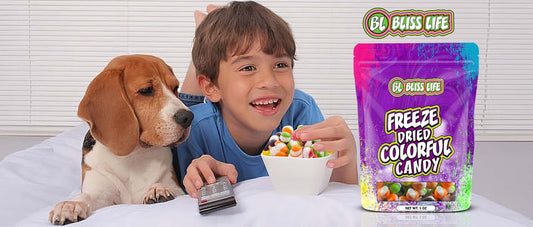Exploring Freeze-Dried Skittles: What Are Freeze-Dried Skittles?